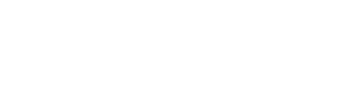 Stacey Lane Design logo